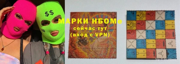 прущие грибы Аркадак