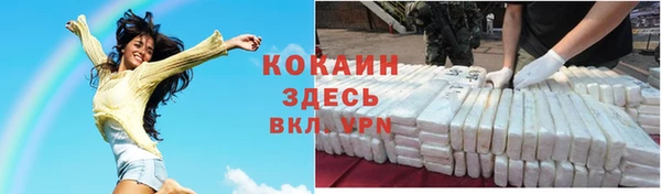 прущие грибы Аркадак