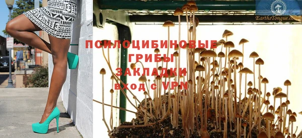 прущие грибы Аркадак