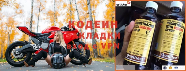 прущие грибы Аркадак