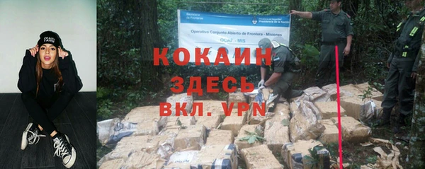 прущие грибы Аркадак